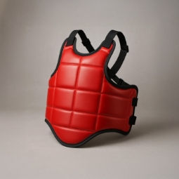 Category image: Martial Arts Protective Gear